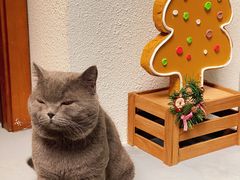 -花间烘焙BLossom Bakery
