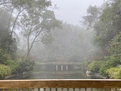 -南山植物园