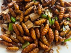 -蒙阴付老大鸡店