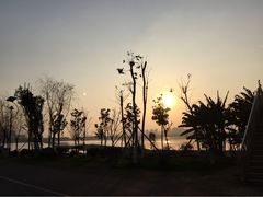 -艾溪湖湿地公园