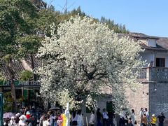 -晓琦农家菜馆·地道农家菜