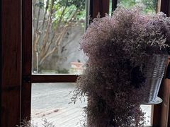-一棵树·意大利西餐厅One Tree(新城店)