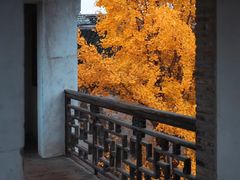 -惠山古镇·寄畅园