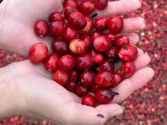 -万达广场(南宁青秀店)