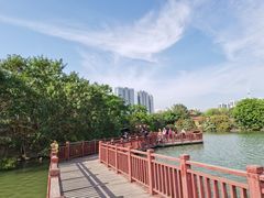 -五缘湾湿地公园