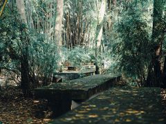 -鹿野苑石刻艺术博物馆