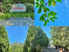 -禅宗少林·音乐大典