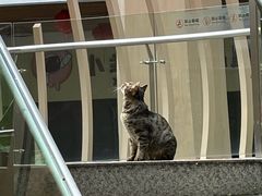 -绳金塔