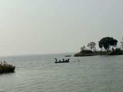 -微山湖红荷湿地景区