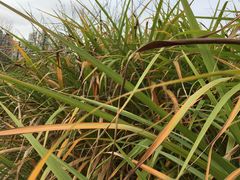 -白塘生态植物园