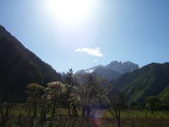 -九寨沟爱情海景区