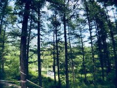 -白草畔自然风景区