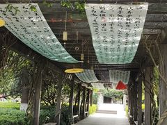 -白马涧龙池景区
