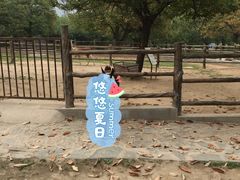 -西安秦岭野生动物园