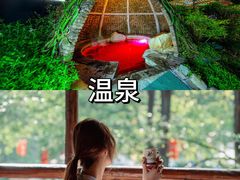 -佛冈森波拉度假区