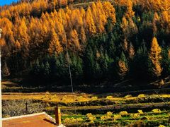 -芦芽山旅游度假区