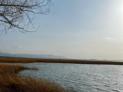 -野鸭湖国家湿地公园