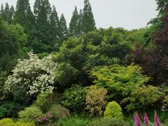 -上海醉白池公园