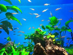 -太平洋海底世界