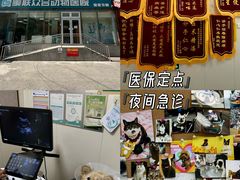-美联众合爱康动物医院•复杂内科•肿瘤科•牙科•腔镜诊疗中心
