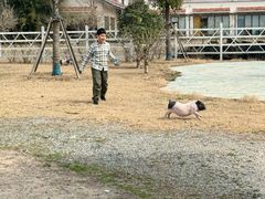 -上海长兴岛郊野公园