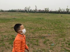 -汉长安城未央宫国家考古遗址公园