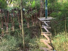 -都江堰玫瑰花溪谷