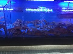 -阿伟海鲜楼·福建菜(延寿店)
