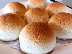 雪顶雄峰-利苑酒家(金宝店)