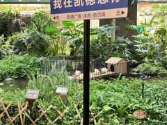 -凯德广场(学府店)