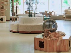 -藏猫猫咖啡主题馆(中央大道店)