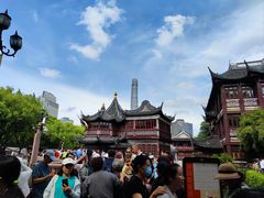 -绿波廊(豫园店)