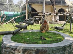 -西安秦岭野生动物园