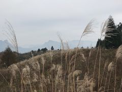 -山王坪喀斯特国家生态公园