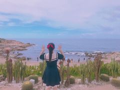 -广东惠东海龟国家级自然保护区