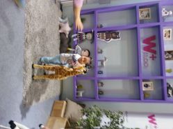 android_upload_pic-WPlus明星肖像亲子全家福摄影