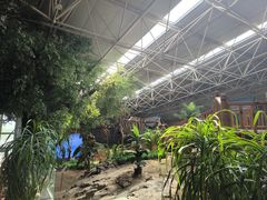 -中国第四纪冰川遗迹陈列馆