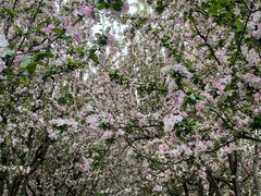 -元大都城垣遗址公园