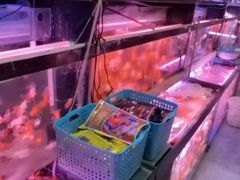 -花鸟鱼虫鲜花绿植市场(玉泉路店)