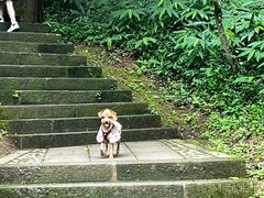 -凤栖山