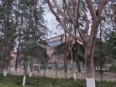 -临沂市博物馆