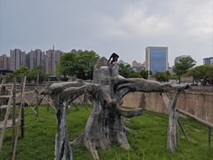 -南昌动物园