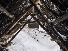 -峡谷浮石林景区
