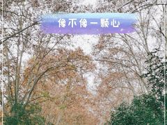 -河南省黄河迎宾馆