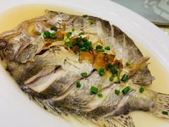 -老淳安—伴山伴湖(千岛湖开元度假村店)