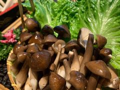 -享月汤皇·海鲜小火锅·聚会(曲江创意谷店)