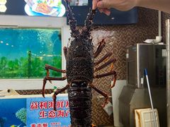 -益利大酒楼(井岸店)