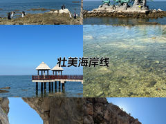 -养马岛旅游度假区