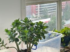 -微笑时刻照相馆·企业合影·商务外拍(北京五道口店)