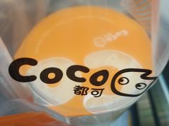 -CoCo都可(漫乐城店)